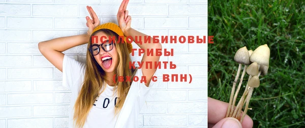 соль ск Балахна